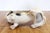 Life-Size Ceramic Basset Hound, 1970s For Sale - Image 4 of 14