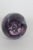Glass Eye Studio Ges Purple Passion Flower Dichroic Art Egg Paperweight 5194b For Sale - Image 10 of 14