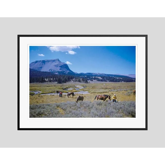 A pack trip in wyoming 1960 holiday makers at a wyoming dude ranch enjoy a pack trip across a spectacular landscape, usa,...