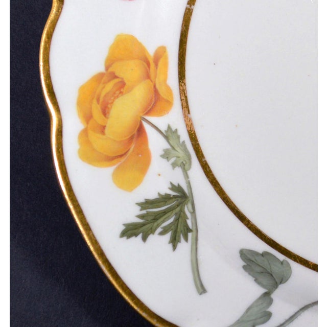 Late 18th Century Flight & Barr Worcester Porcelain Botanical Dessert Plate, Circa 1792–1804 For Sale - Image 5 of 8