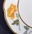Late 18th Century Flight & Barr Worcester Porcelain Botanical Dessert Plate, Circa 1792–1804 For Sale - Image 5 of 8