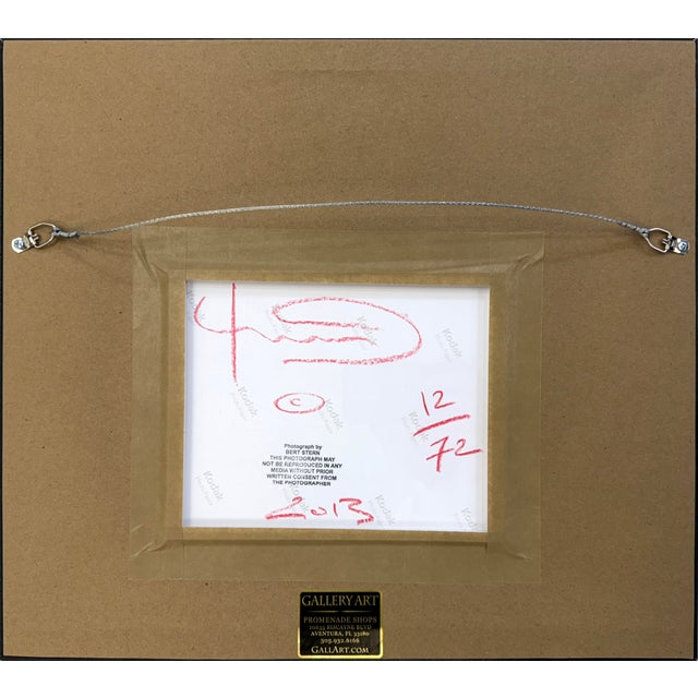 Bert Stern Bert Stern the Last Sitting: Marilyn With Pearls (Hand Signed C-Print), 2013 For Sale - Image 4 of 4