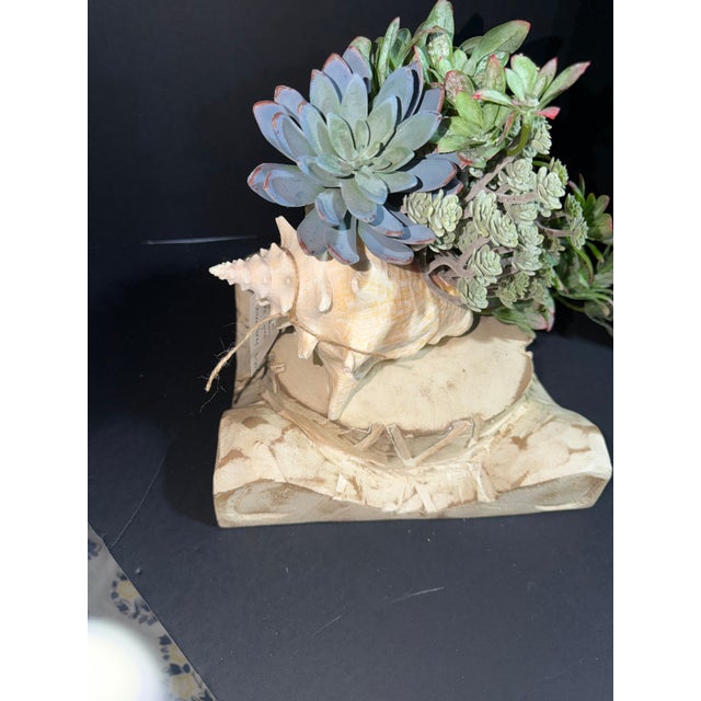 Boho Chic Celestial Meets the Sea Succulent Arrangement For Sale - Image 3 of 6