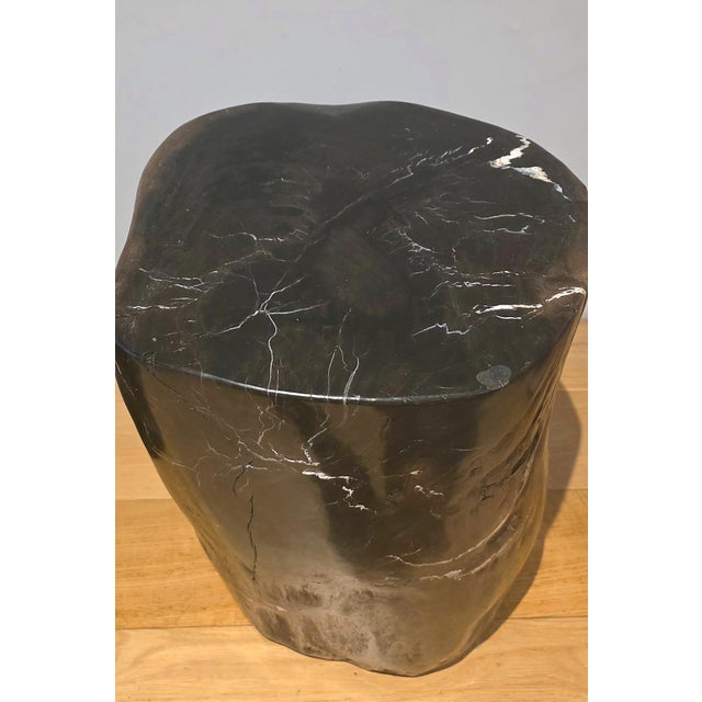 Pair of Indonesian Petrified Wood Side Tables, Bali, Organic Modern, C. 2000s For Sale - Image 4 of 7