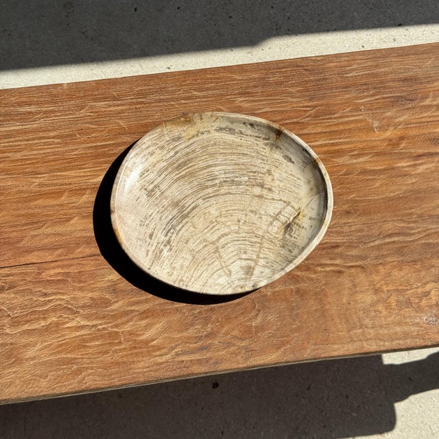 Brutalist Light Grey Petrified Wood Trinket Tray or Dish with Rings, 1980s For Sale - Image 3 of 9