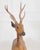 Brown Italian 20th Century Life-Size Walnut Deer Sculpture For Sale - Image 8 of 12