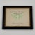 1990s Vintage Luna Moth Natural History Insect Print For Sale - Image 5 of 7