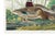 Mallard Duck, Vintage Art Print Reproduction From Birds of America by John James Audubon, 48″ × 32″ For Sale - Image 9 of 10