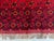 Red Vintage Afghan Ersari Gülli Gol All-Over Flower Gul Tribal Rug - 10'3" X 7'0" For Sale - Image 8 of 13