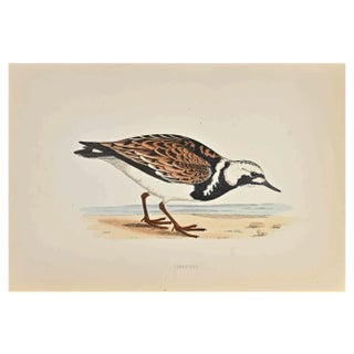 Alexander Francis Lydon, Turnstone, Woodcut Print, 1870 For Sale