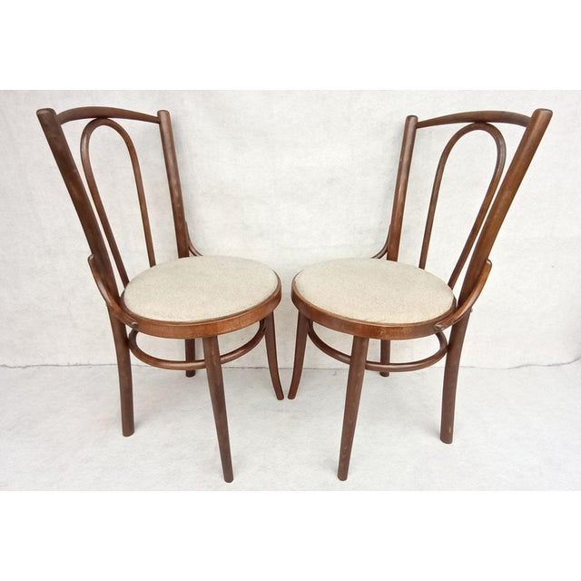 Nice and stylish dining chairs made of bent beech wood. They probably require minor cosmetic adjustments from a restorer -...