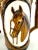 This pair of mid-century hand-painted horse mugs by Knobler, made in Japan, showcases exceptional craftsmanship. Each mug...
