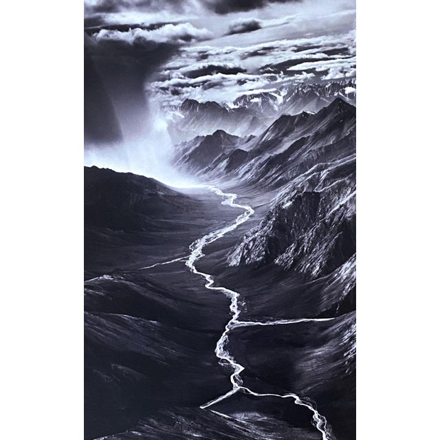 Contemporary Sebastião Salgado Hôtel De Ville Official Exhibition Poster For Sale - Image 3 of 4