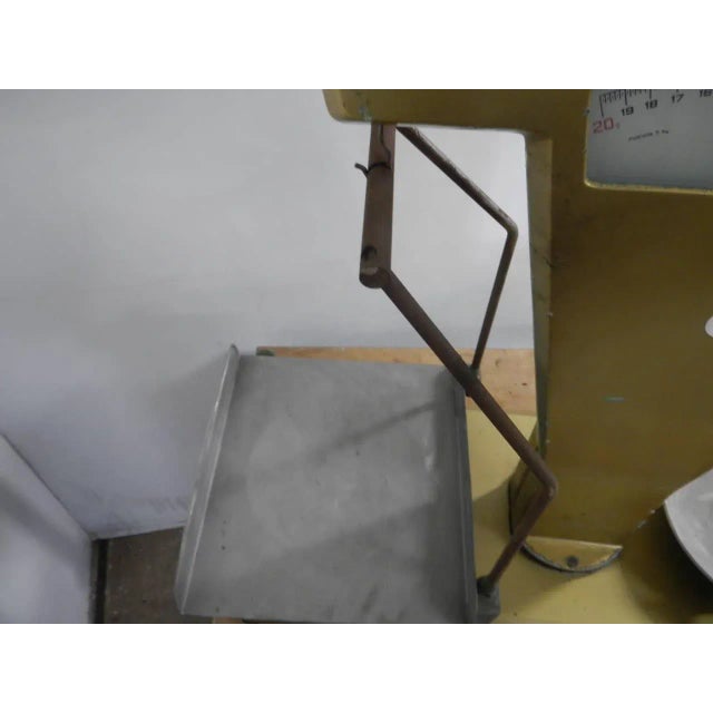 Fulgor Scale in Gold For Sale - Image 6 of 13