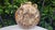 Vintage Ceramic Carafe, 1970s For Sale - Image 9 of 9
