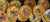 Sarreguemines French Serving Set of 16 For Sale - Image 9 of 12