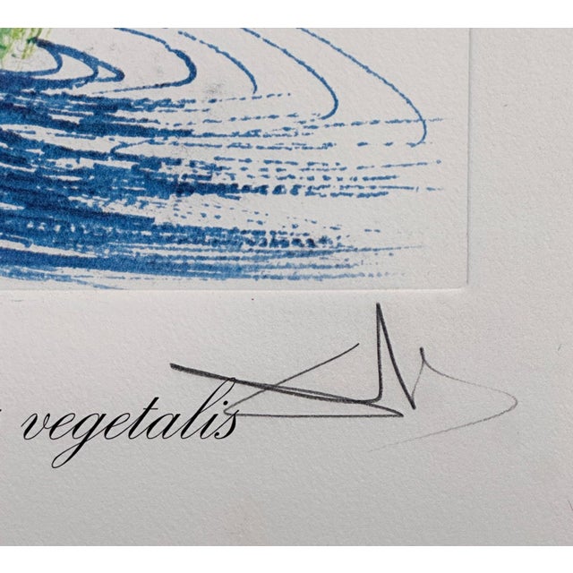 Surrealism 1970s Dali Florals Water-Hybiscus Swan Hand Signed Number Etching Surreal Art For Sale - Image 3 of 6