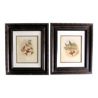 Pair of John Gould Humming Bird Lithographs Prints 1st Edition Framed For Sale