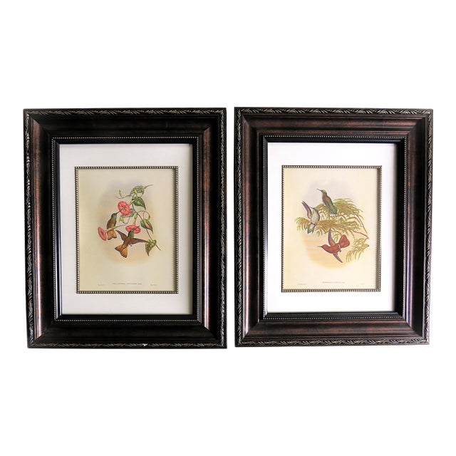 Pair of John Gould Humming Bird Lithographs Prints 1st Edition Framed For Sale