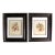Pair of John Gould Humming Bird Lithographs Prints 1st Edition Framed For Sale