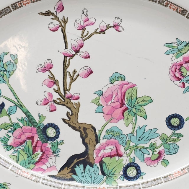 Late 20th Century Antique English Indian Tree Pattern Serving Platter With Gold Trim by Maddock 14.25" For Sale - Image 5 of 11