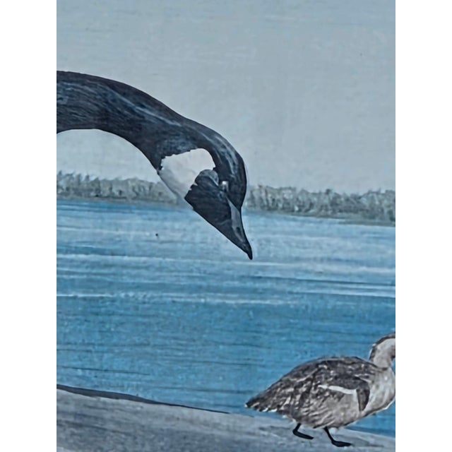 19th Century Beautiful Decorative Painting of Goose Family/ Wood Frame and Glass Cover. For Sale - Image 14 of 14