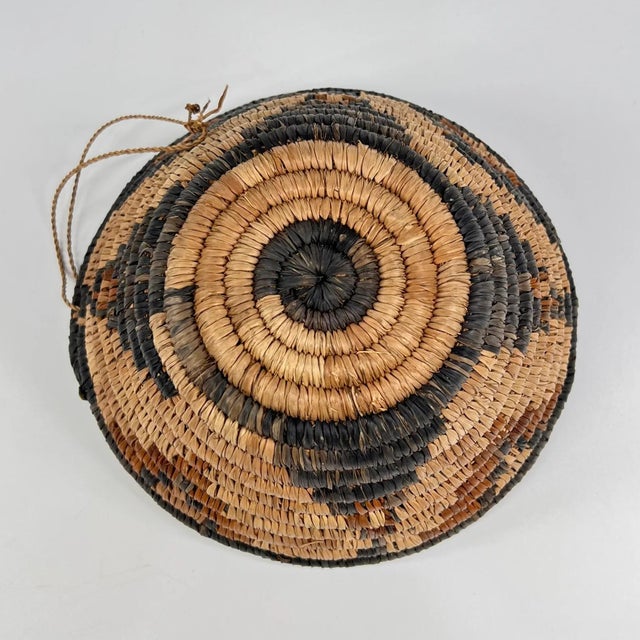African Early 20th Century Botswana Basket 8inch MATTER COLLECTION For Sale - Image 3 of 6