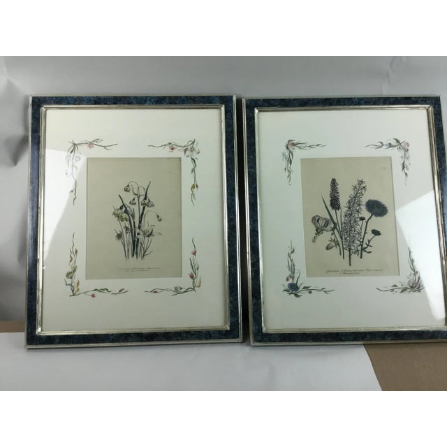 English Botanical Water Color Silhouette Framed Prints by Julia Winship - a Pair For Sale - Image 13 of 13