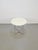 Wood Bauhaus Tubular Frame Table by W. H. Gispen for Gispen, 1960s For Sale - Image 7 of 8