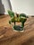 1970s 1970s Small Green Ceramic Horse Figurine For Sale - Image 5 of 7