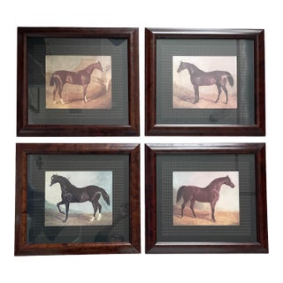 4 Vintage Thoroughbred Equestrian Horse Prints Framed & Matted 18.5"h X 20.5" W For Sale