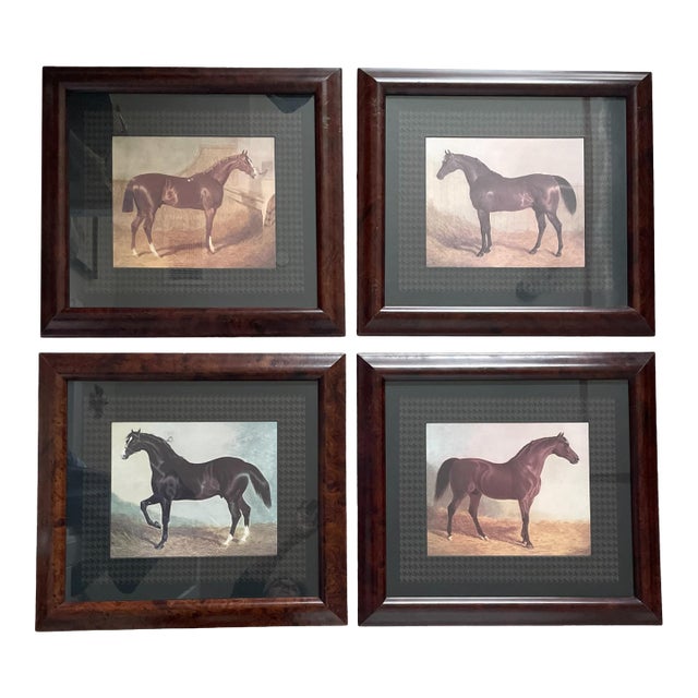 4 Vintage Thoroughbred Equestrian Horse Prints Framed & Matted 18.5"h X 20.5" W For Sale