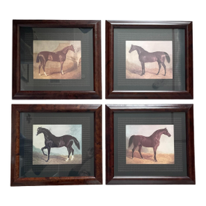 4 Vintage Thoroughbred Equestrian Horse Prints Framed & Matted 18.5"h X 20.5" W