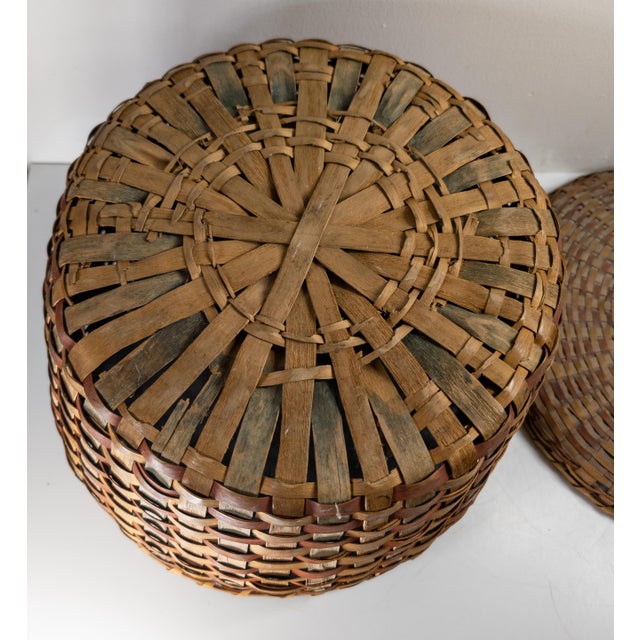 19th Century Native American Northeast Indian Polychrome Covered Splint Basket For Sale - Image 13 of 13