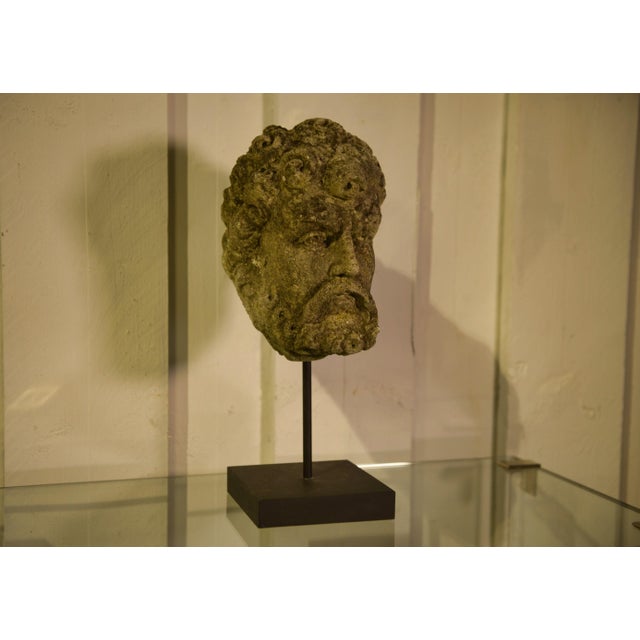 Early 19th Century Neo-Renaissance Stone Head of a Man, 1800s For Sale - Image 12 of 12
