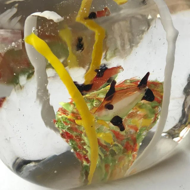 Italian Orange Gold Art Glass Fish Sculpture from Cenedese For Sale - Image 3 of 11