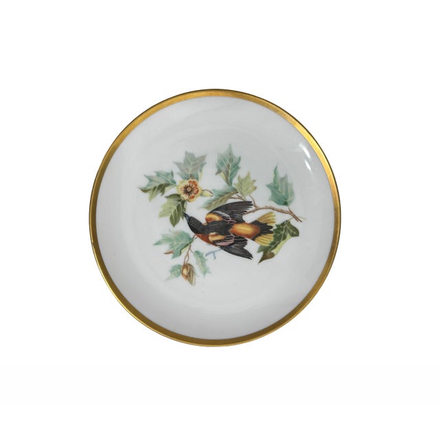 Mid-Century Modern Vintage Hutschenreuther Selb Bavaria Audubon Bird Porcelain Dessert Plates – Set of 4, 24k Gold Rim For Sale - Image 3 of 6