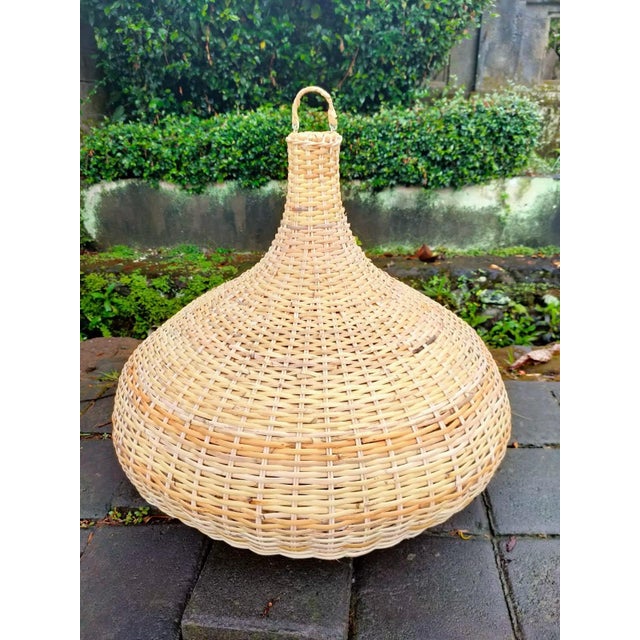 2020s Rattan Basket Clove Pendant Light For Sale - Image 5 of 8