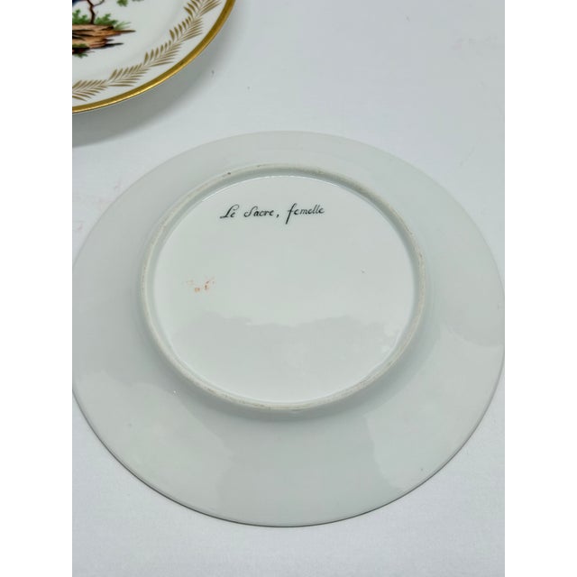 5, French Nast Factory "Ornithological" Porcelain Dessert Plates C. 1815 For Sale In Providence - Image 6 of 11