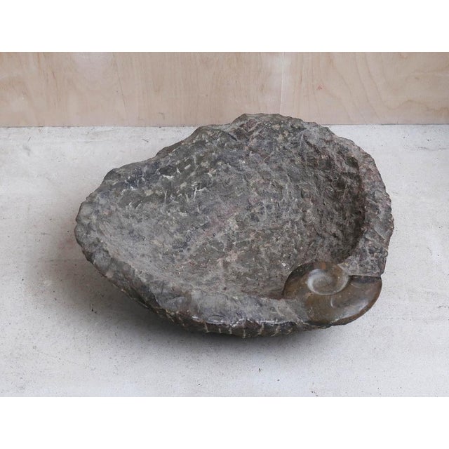 Carved Stone Bowl with Goniatite Fossil Detail, Morocco, 2000s For Sale - Image 4 of 6
