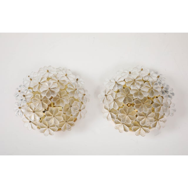 Mid 20th Century Large Mid-Century Modern Murano Glass Floral Sconces by Ernst Palme - a Pair For Sale - Image 5 of 12