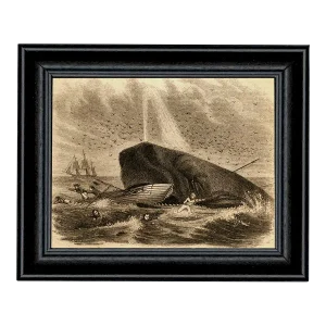 The Whale of Captain DeLois Etching Framed Print Behind Glass in Black Wood Frame
