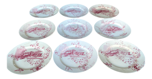 Antique Earthenware Plates in Pinkish-Red Terre De Fer, 1800s, Set of 9