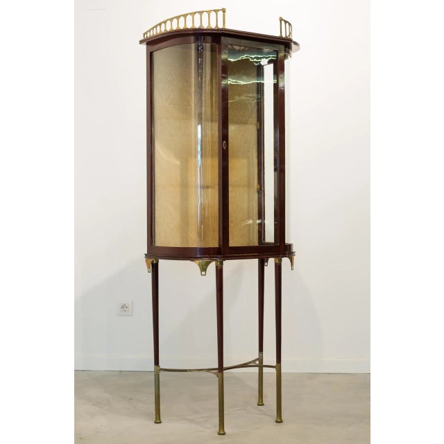 Brown Antique Austrian Cupboard For Sale - Image 8 of 8