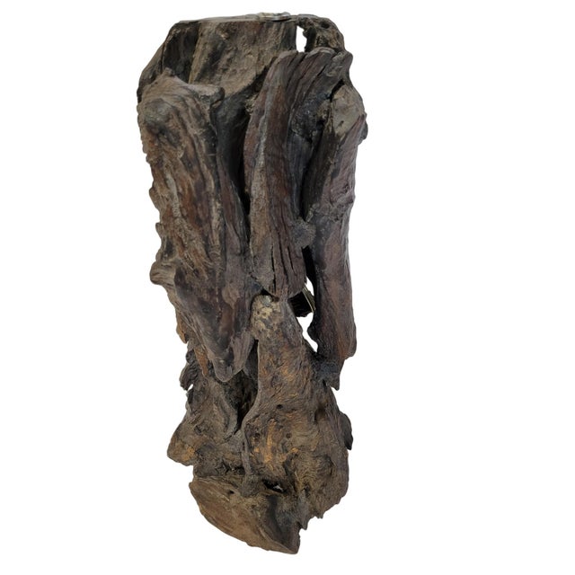 Organic Driftwood Sculptural Table Lamp For Sale - Image 10 of 12