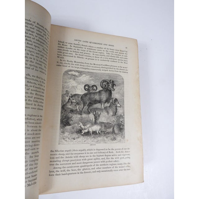 1874 Polar and Tropical Worlds Arctic and World Expeditions Book For Sale - Image 12 of 16