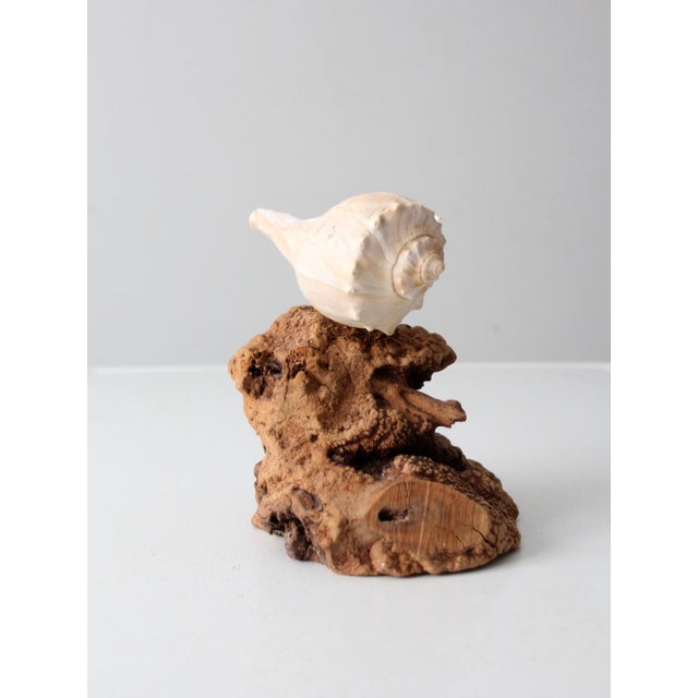 Mid-Century Burl Wood Shell Candle Sculpture For Sale - Image 10 of 12