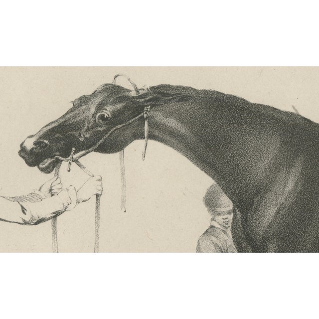 After Chalon, Racehorse Training Scene, Lithograph, 1840 For Sale - Image 5 of 9