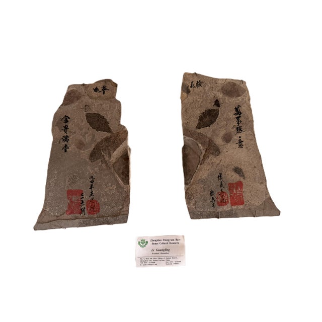 This rare and visually arresting pair of fossil stone tablets comes from Zhengzhou, Henan Province, China. Each slab...
