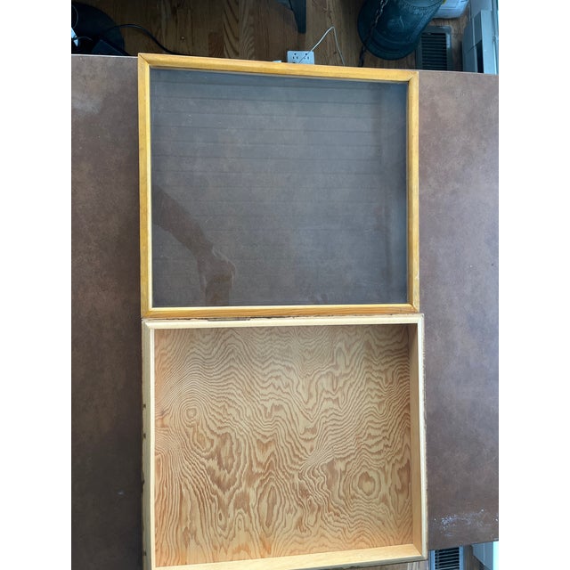 Chestnut Set of 6 Vintage Uc Berkeley Museum Entomology Specimen Cases – Cis Stamped For Sale - Image 8 of 11